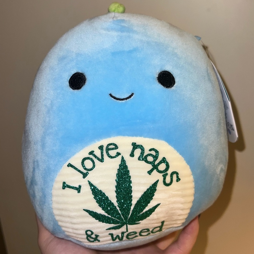 Custom Squishmallow